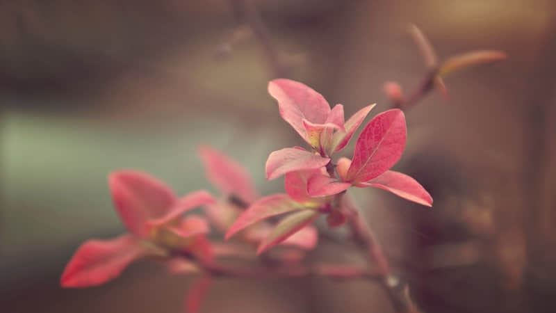 ����ô���ң��Ҿ���ô����