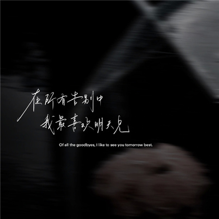 ����ɭͼƬ�˸���������(��ѡ100��)