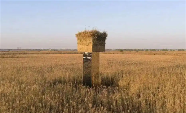 ��ָ����������������Ʒ����� ����װ����������ײ