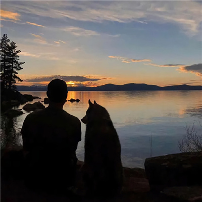 ���������������ִ�����(��ѡ100��)