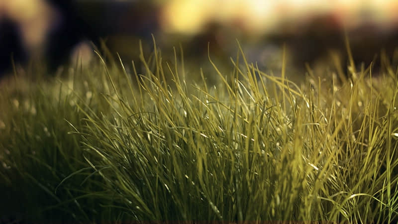 ������һ�䣬ȥ�������������??��