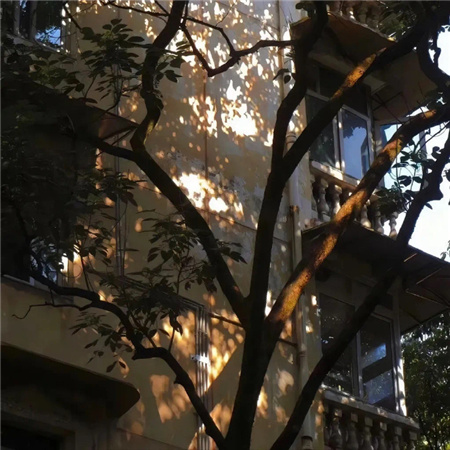 Ӣ�������˸���������(��ѡ100��)