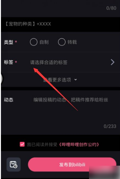 必剪怎样发布视频?必剪添加视频标签方法介绍_wishdown.com 必剪怎样发布视频?必剪添加视频标签方法介绍_wishdown.com
