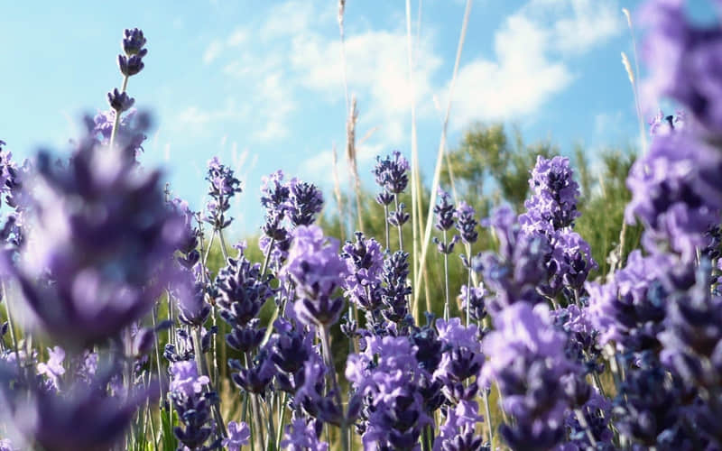 ��������ʾ������������㡱