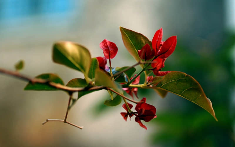 ������Ц��һ�죬����ȥЦ��������Ȧ??��