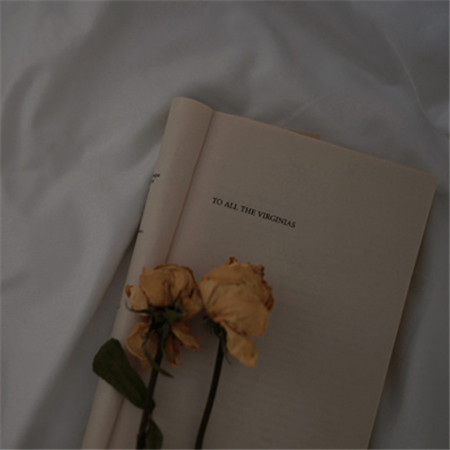 ����id�˸�����������(��ѡ100��)