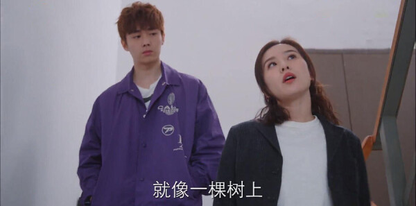 �װ����Լ���31���������