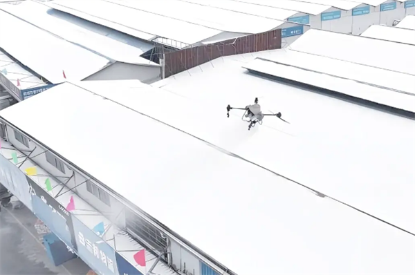 ���˻���ѩ����� �߲˴������󼱾�����