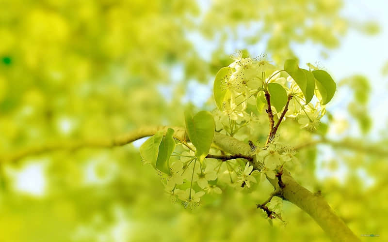 “11~20周年,结婚纪念日大大方方发朋友圈”_wishdown.com “11~20周年,结婚纪念日大大方方发朋友圈”_wishdown.com