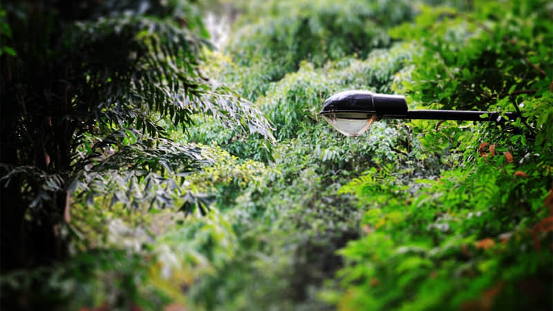 26年跨年文案|挑一句去惊艳你的新一年_wishdown.com 26年跨年文案|挑一句去惊艳你的新一年_wishdown.com