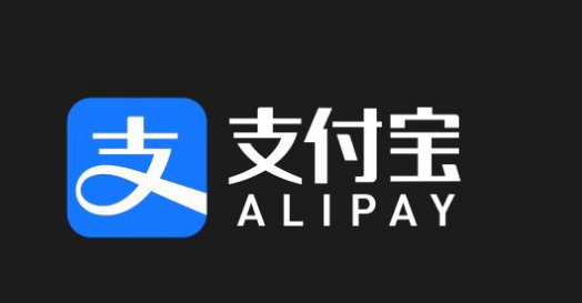 ֧����������ô�װ��ģ�֧��������������̷̳���