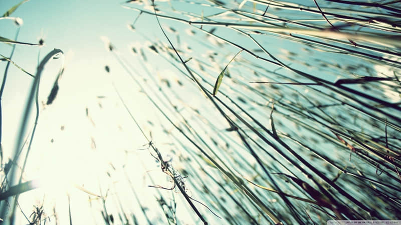 ������Ȧ��ô������Ц����