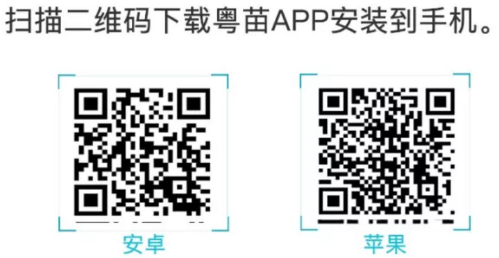 粤苗app怎么使用?粤苗app使用方法_wishdown.com 粤苗app怎么使用?粤苗app使用方法_wishdown.com