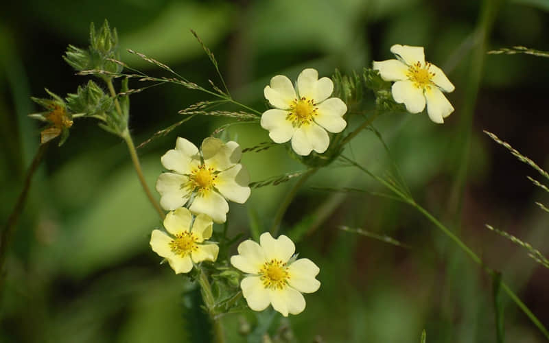 "专治阴阳怪气,怼人带笑不翻脸"_wishdown.com "专治阴阳怪气,怼人带笑不翻脸"_wishdown.com