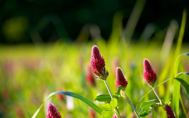 “周一这样发,正能量又吸晴,元气满满”_wishdown.com “周一这样发,正能量又吸晴,元气满满”_wishdown.com