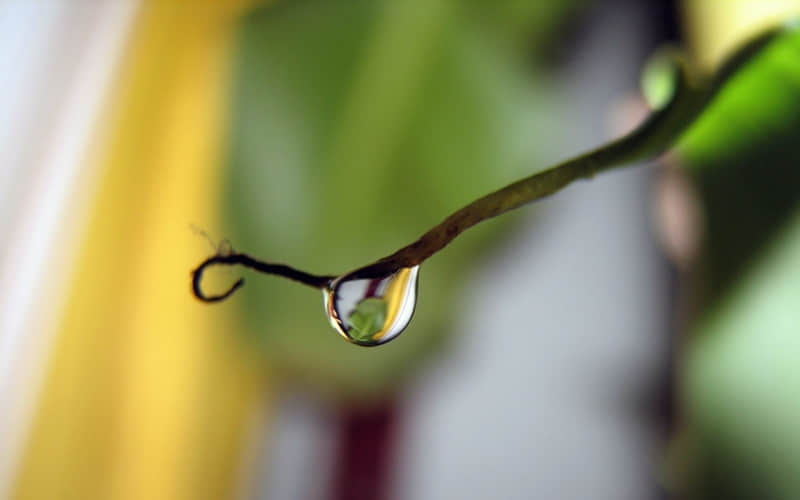 “存起来,够发一辈子的高级文案”_wishdown.com “存起来,够发一辈子的高级文案”_wishdown.com