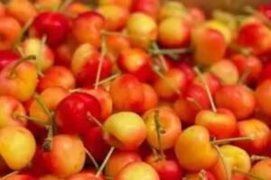 金车厘子身价暴涨300多元一斤是怎么回事_wishdown.com 金车厘子身价暴涨300多元一斤是怎么回事_wishdown.com