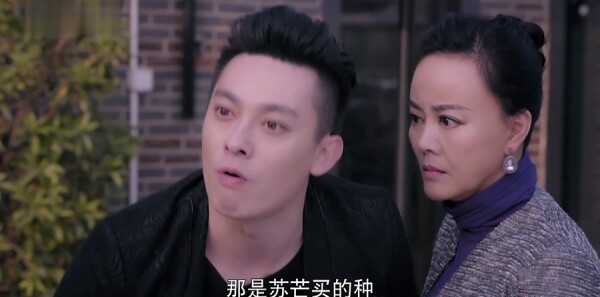 漂洋过海来看你第21集剧情介绍_wishdown.com 漂洋过海来看你第21集剧情介绍_wishdown.com