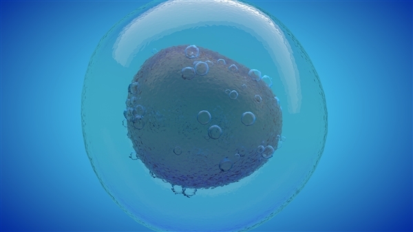 “饿死肿瘤”的方法竟然真的找到了!_wishdown.com “饿死肿瘤”的方法竟然真的找到了!_wishdown.com