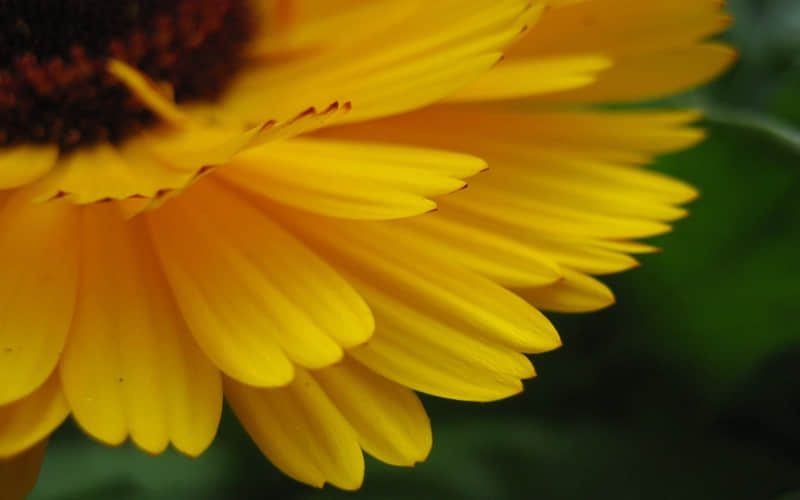 “最近很火的喝酒高级文案”_wishdown.com “最近很火的喝酒高级文案”_wishdown.com