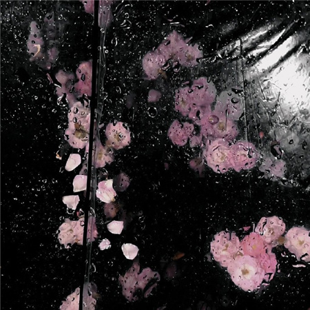 �°�ͼƬ�˸���������(��ѡ100��)