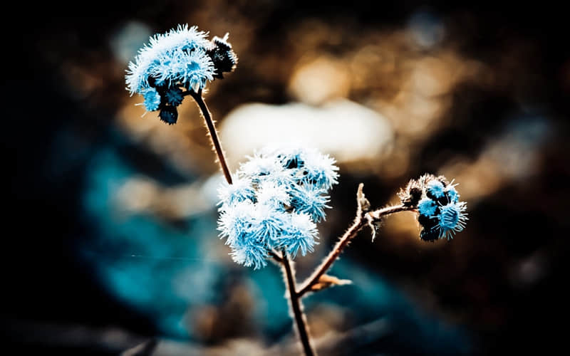 “上班这样发,笑颠朋友圈”_wishdown.com “上班这样发,笑颠朋友圈”_wishdown.com