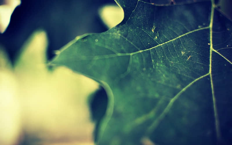 “2025年终总结|尽我所能,敬我所不能”_wishdown.com “2025年终总结|尽我所能,敬我所不能”_wishdown.com