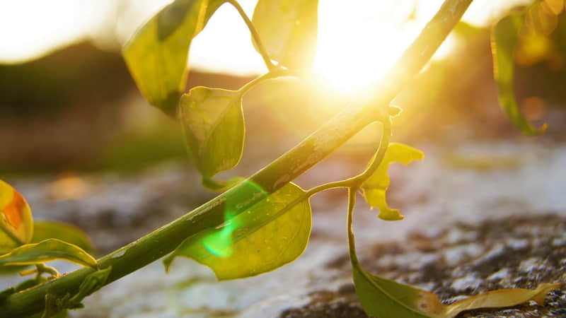 “跨年文案这样发,赞爆你的朋友圈??ˋ???ˊ?”_wishdown.com “跨年文案这样发,赞爆你的朋友圈??ˋ???ˊ?”_wishdown.com