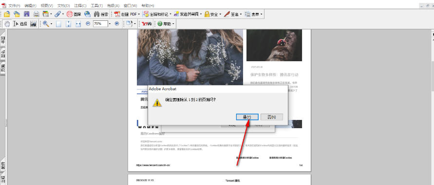 AdobeAcrobat怎么删除页面_wishdown.com AdobeAcrobat怎么删除页面_wishdown.com