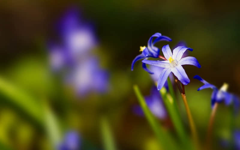 �������İ����Ƕ����İ����ֲ������������ҫ������ȼ��