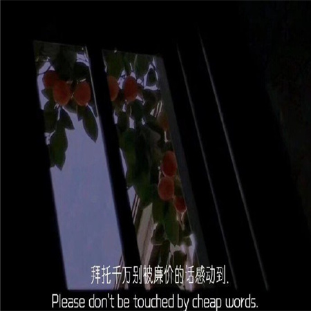 ѢͼƬ�˸�������������(��ѡ100��)