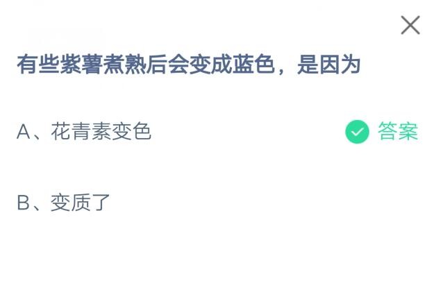 有些紫薯煮熟后会变成蓝色,是因为?支付宝蚂蚁庄园7月9日答案_wishdown.com 有些紫薯煮熟后会变成蓝色,是因为?支付宝蚂蚁庄园7月9日答案_wishdown.com