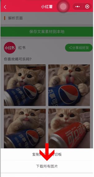 小红书水印怎么关?小红书关掉水印教程_wishdown.com 小红书水印怎么关?小红书关掉水印教程_wishdown.com