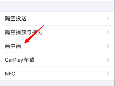 苹果手机怎样开启画中画?苹果手机画中画开启方法分享_wishdown.com 苹果手机怎样开启画中画?苹果手机画中画开启方法分享_wishdown.com