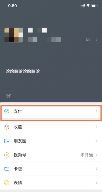 微信如何设置面容验证?微信面容验证方法_wishdown.com 微信如何设置面容验证?微信面容验证方法_wishdown.com