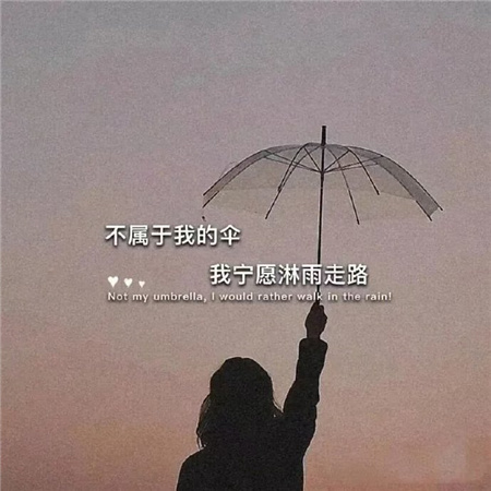 �����˸�����4��(��ѡ100��)