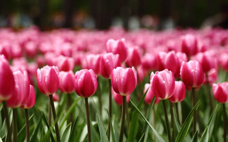 ����һ����ϲ��Ŀ���΢�Ÿ�ǩ��