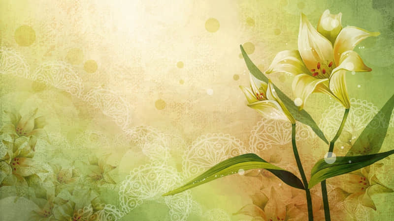 ��??2?2?/??.??2026Ԫ������Ȧ��ô����??����һ����??????? ��