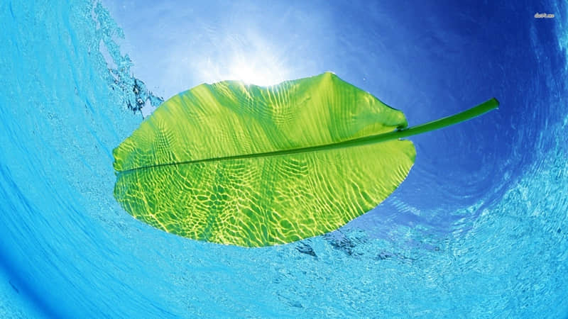 “??2?2?/??.??2026元旦朋友圈这么发,??旺你一整年??????? ”_wishdown.com “??2?2?/??.??2026元旦朋友圈这么发,??旺你一整年??????? ”_wishdown.com