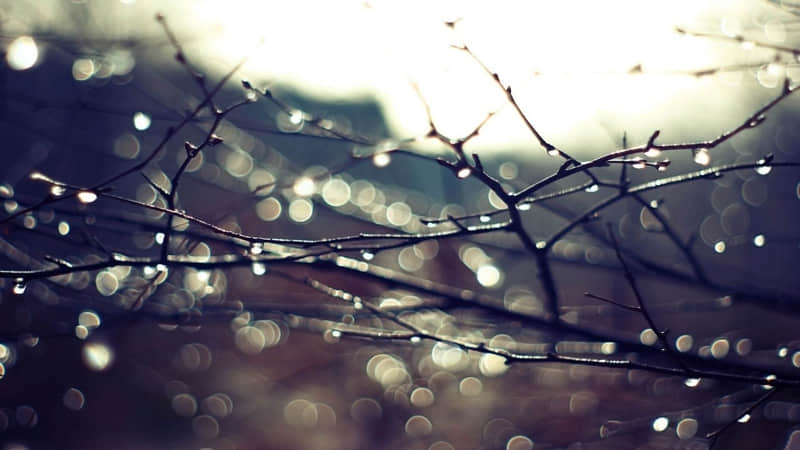 “??2?2?/??.??2026元旦朋友圈这么发,??旺你一整年??????? ”_wishdown.com “??2?2?/??.??2026元旦朋友圈这么发,??旺你一整年??????? ”_wishdown.com