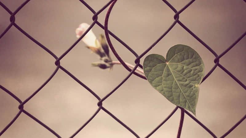 “??2?2?/??.??2026元旦朋友圈这么发,??旺你一整年??????? ”_wishdown.com “??2?2?/??.??2026元旦朋友圈这么发,??旺你一整年??????? ”_wishdown.com