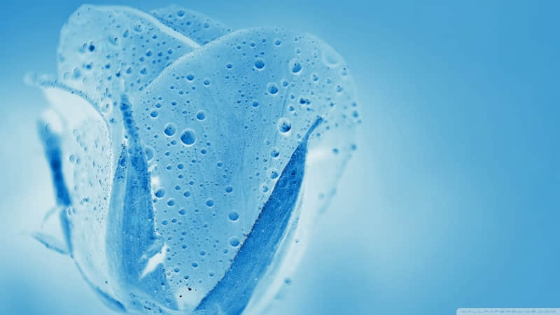 �� 2?2?��һ�䣬����Ȧ�ÿͱ���?