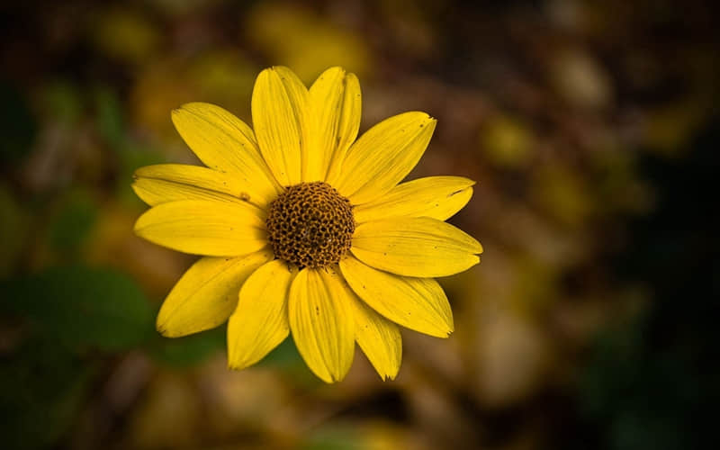 “ 2?2?挑一句,朋友圈访客暴涨?_wishdown.com “ 2?2?挑一句,朋友圈访客暴涨?_wishdown.com