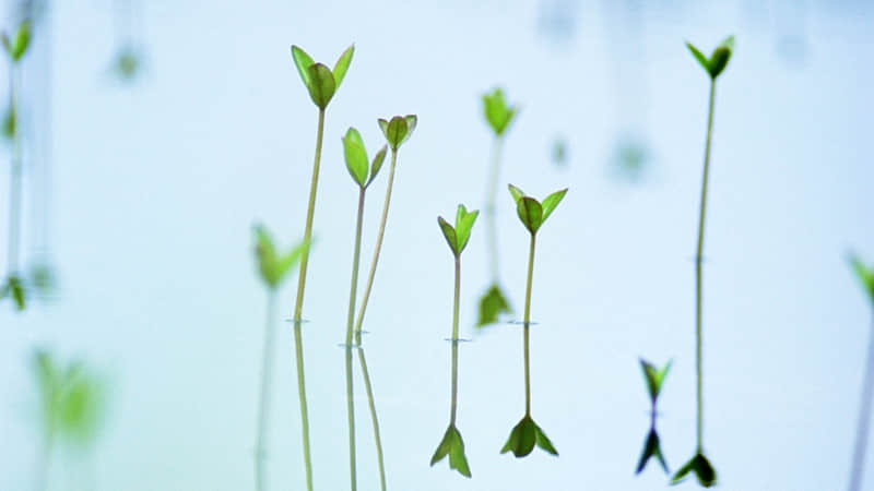 “1月1号这天,新年元旦朋友圈就这样发”_wishdown.com “1月1号这天,新年元旦朋友圈就这样发”_wishdown.com