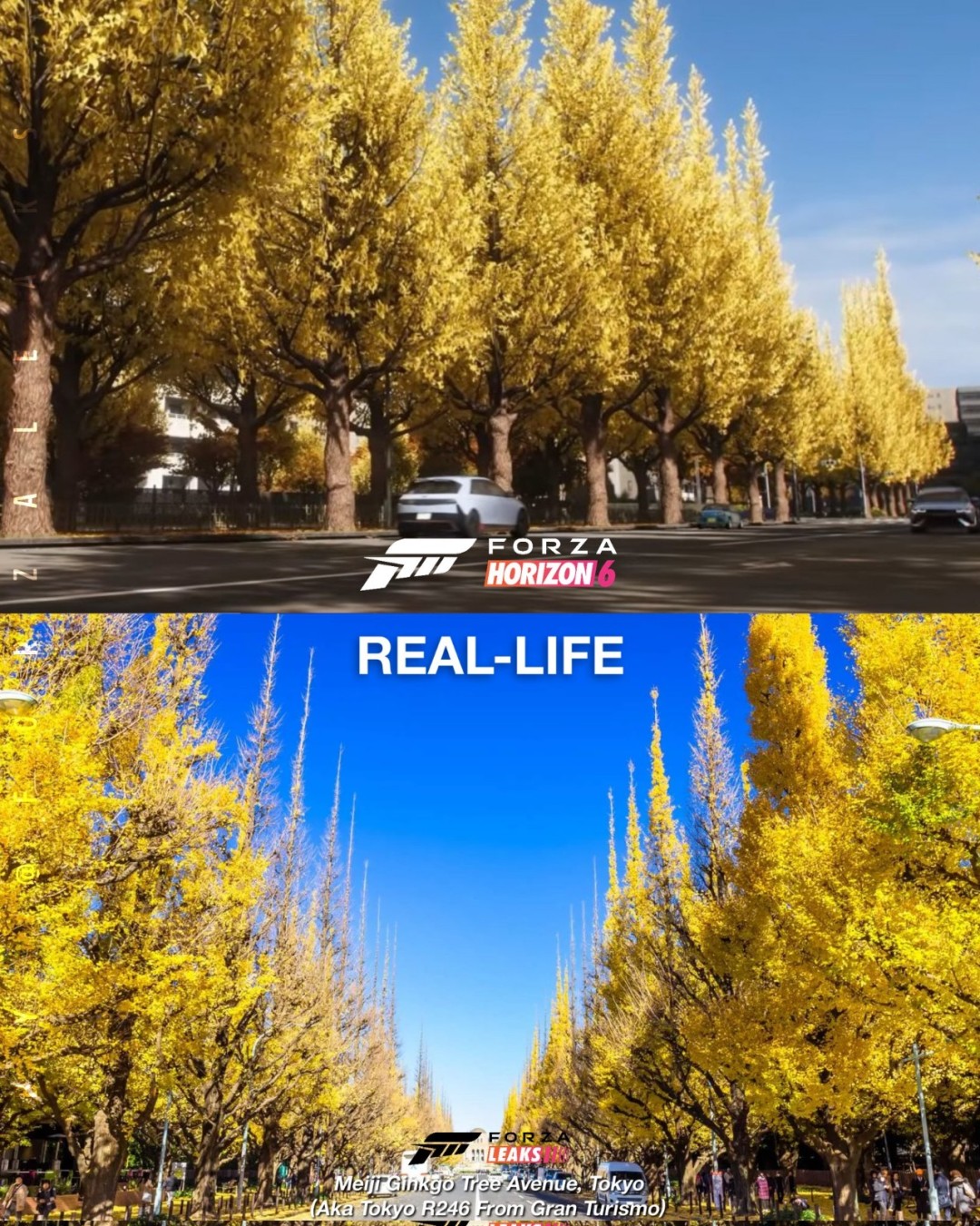 《极限竞速:地平线6》太真实震惊玩家:这跟现实的日本一样!_wishdown.com 《极限竞速:地平线6》太真实震惊玩家:这跟现实的日本一样!_wishdown.com