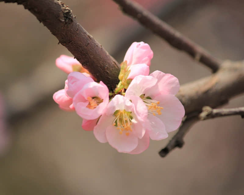 ��2?2?/??.?? ?? 1�µ�һ�죬����Ȧһ��Ҫ��������