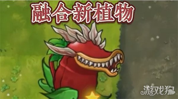 ֲ���ս��ʬ�ںϰ��ǻ�ӣ��ս����ô��