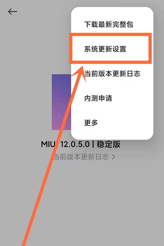红米k40系统怎样关闭自动更新 红米k40系统自动更新关闭方法_wishdown.com 红米k40系统怎样关闭自动更新 红米k40系统自动更新关闭方法_wishdown.com
