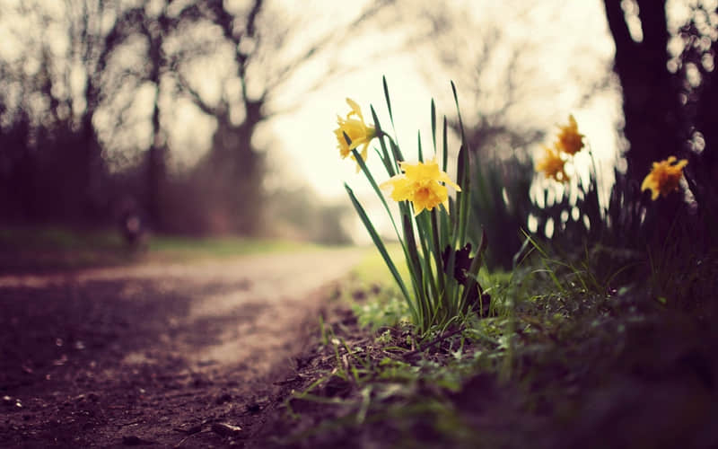 ��������������ô�ã�����һ���족