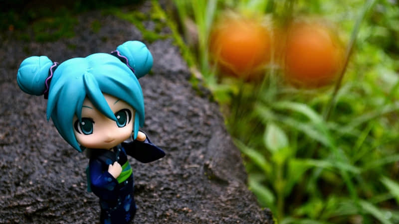 ��Ԫ����ô��������Ȧ��Ц������